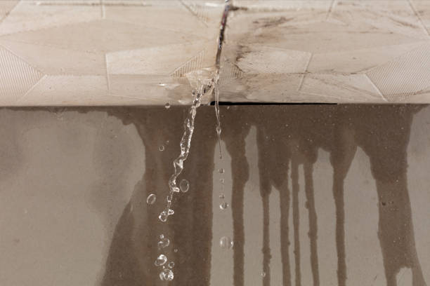 Professional Water Damage Repair technician working in Sharon, MA